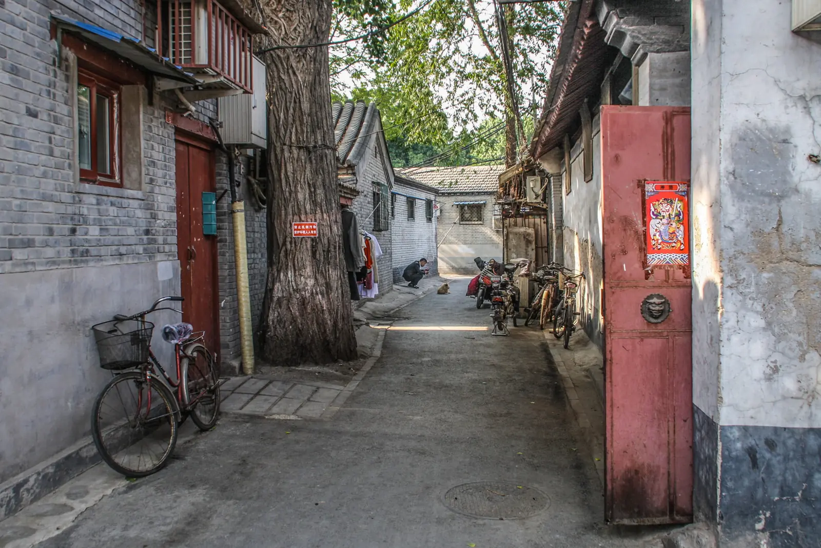 A hutong lane near the Drum Tower in Beijing — courtyard houses, an old tree and bicycles in the evening light