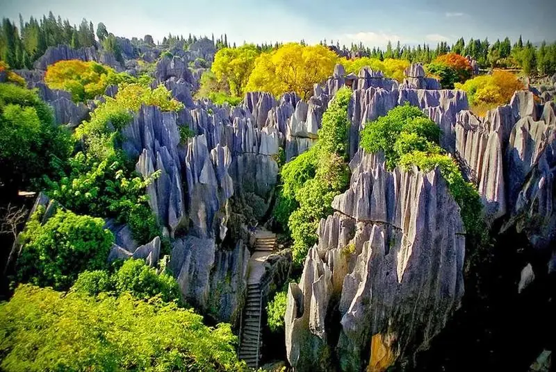 The Stone Forest near Kunming in Yunnan — grey limestone pinnacles rising above green trees and a pond