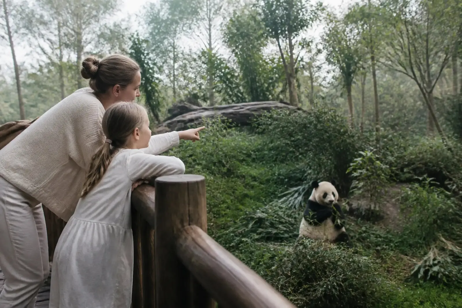 A mother and young daughter at the railing watching a giant panda at the Chengdu panda base